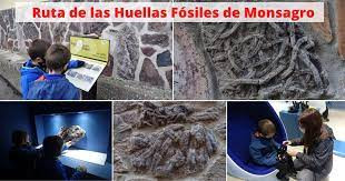  Monsagro contará con un Centro de Interpretación de los Fósiles para poner en valor los restos geológicos y paleontológicos en esta zona