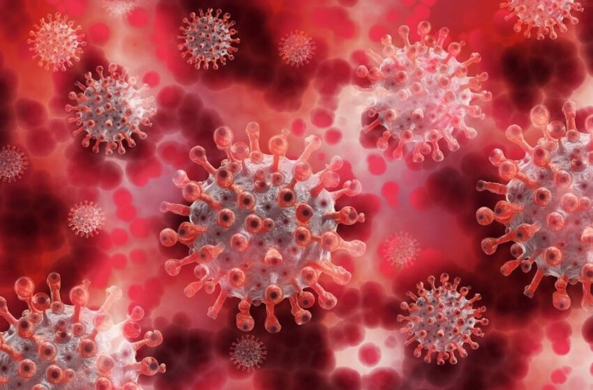  La OMS insiste: el riesgo de trombos es más alto si se tiene Covid-19 que con la vacuna de AstraZeneca o Janssen
