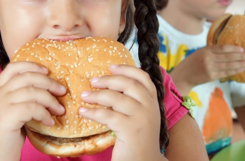  La comida basura también perjudica a los huesos de los niños