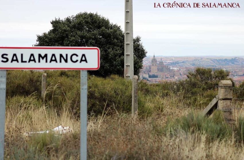  Como es lógico, la provincia de Salamanca agrupa a la gran mayoría de ellos