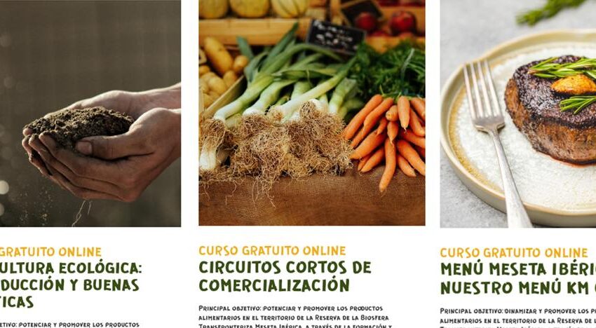  Zasnet promueve cursos de formación online sobre agricultura, comercialización y gastronomía