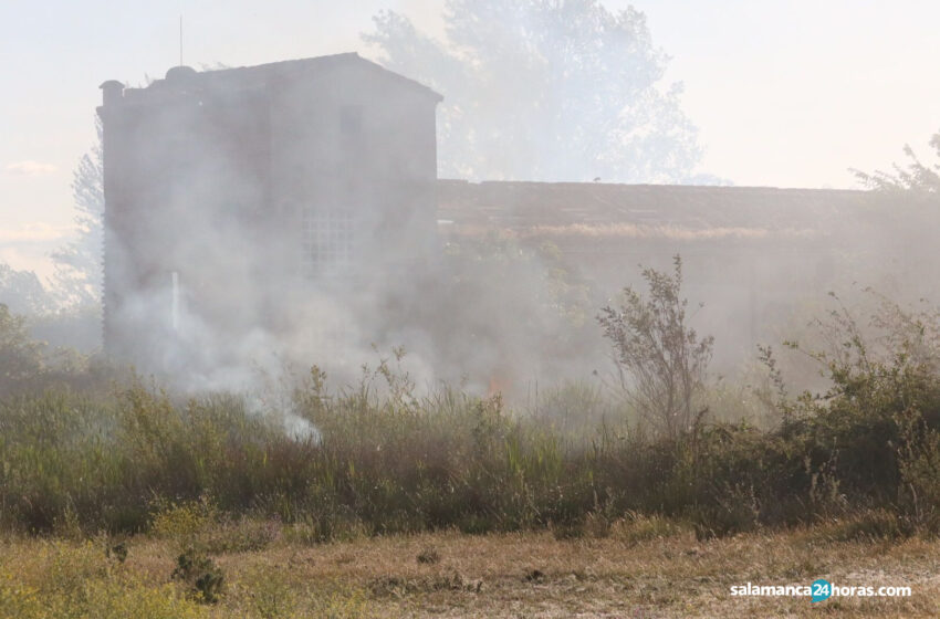  VÍDEO | Los Bomberos de la Diputación sofocan un incendio en la carretera de Nuevo Naharros, junto a varias viviendas, causado por pelusa de chopo