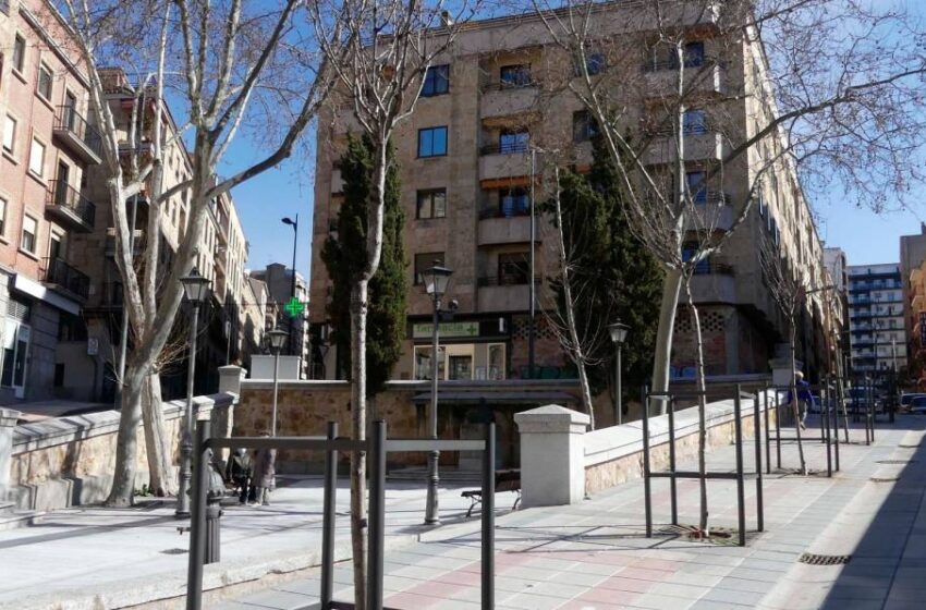  Apadrina un alcorque, la curiosa iniciativa del Ayuntamiento de Salamanca