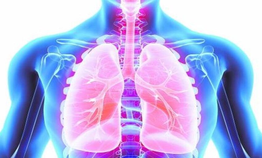  Cinco ejercicios respiratorios que mejoran la función pulmonar tras pasar el Covid-19