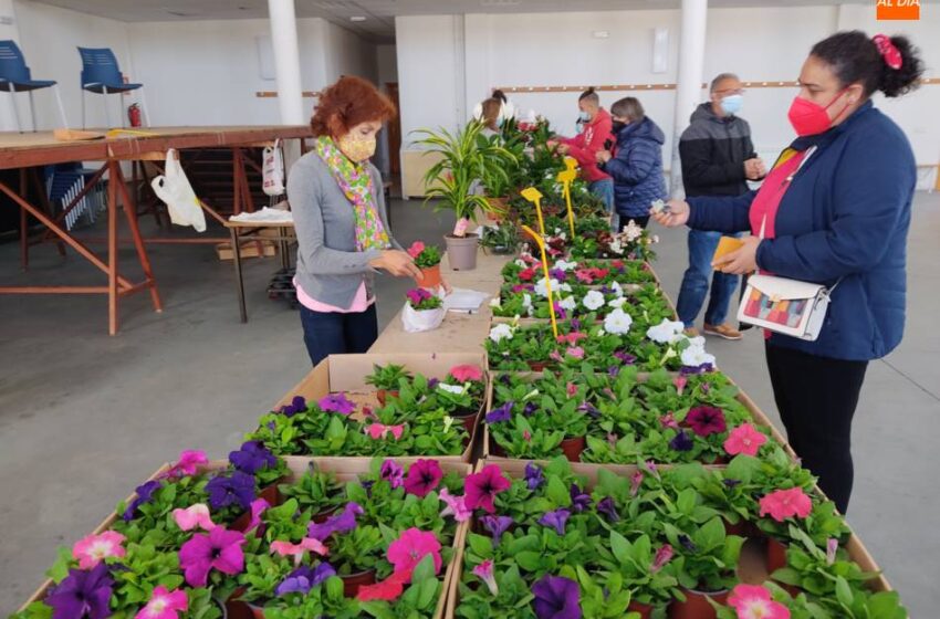  Villoria derrocha solidaridad con el Mercadillo de las Flores