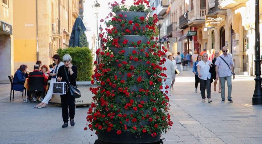  Salamanca se llenará de color con más de 40.000 plantas de flor