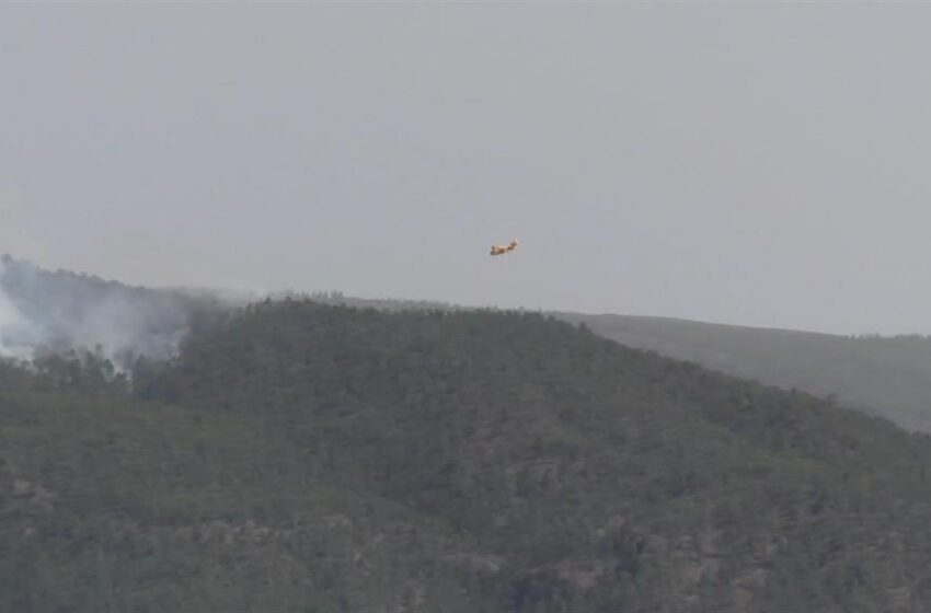  Los medios aéreos se reincorporan con la luz del día a las tareas de extinción del incendio de Arico