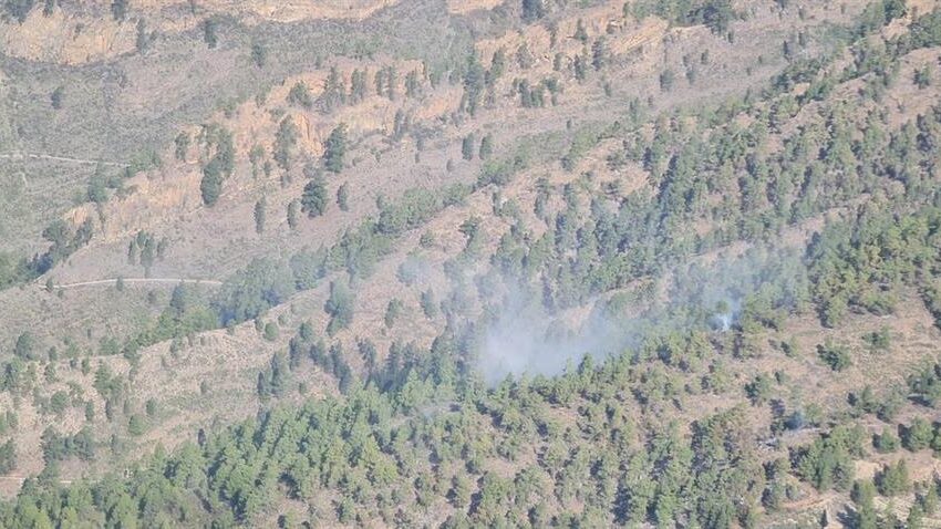  El incendio forestal de Arico (Tenerife) seguirá en nivel 2 y la superficie afectada se reduce a 3.000 hectáreas