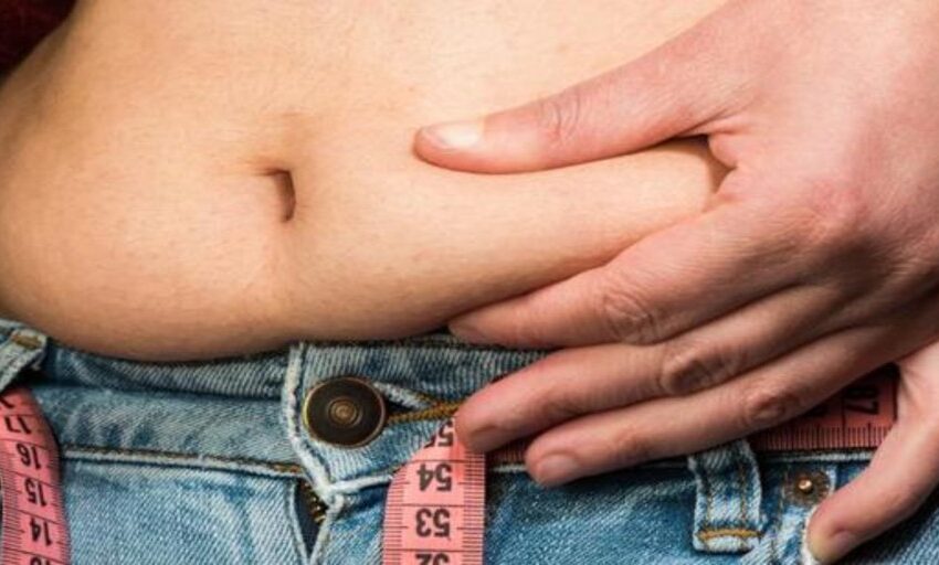  Obesidad e hígado graso: ¿cómo puede protegernos una microbiota intestinal saludable?