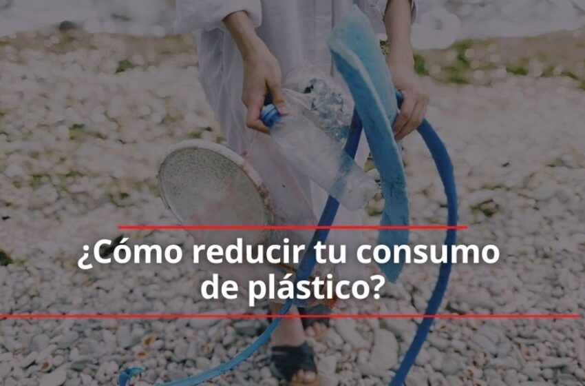  Día Mundial del Medioambiente: ¿Cómo reducir tu consumo de plástico?