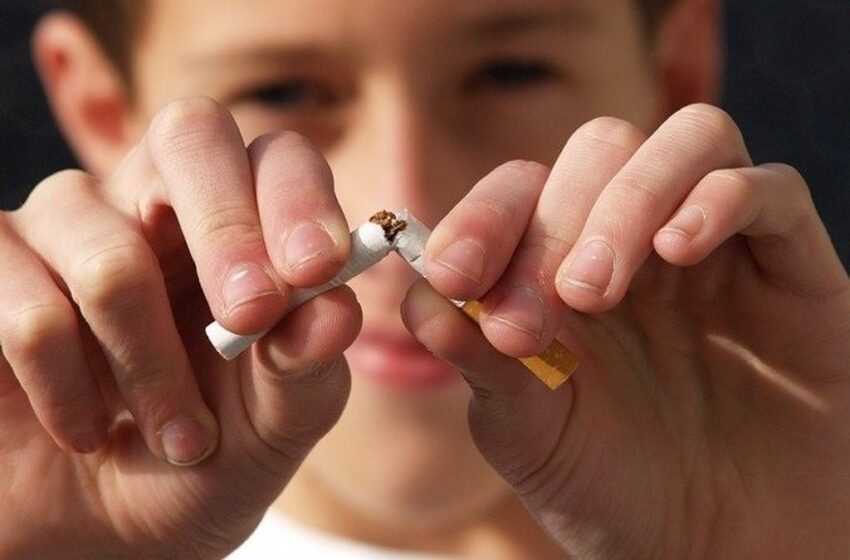  Fumar durante la pubertad puede provocar consecuencias negativas en los hijos
