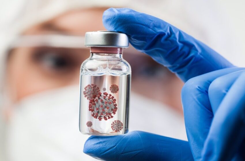  Los coronavirus pueden alcanzar su nivel de patogenicidad desencadenando la muerte celular programada