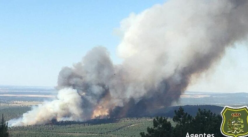  Un incendio amenaza una gran zona arbolada en la localidad salmantina de Serradilla del Arroyo