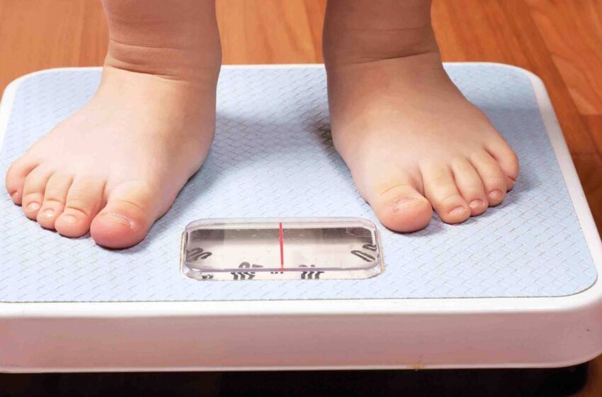  Uno de cada cuatro niños de la región tiene exceso de peso
