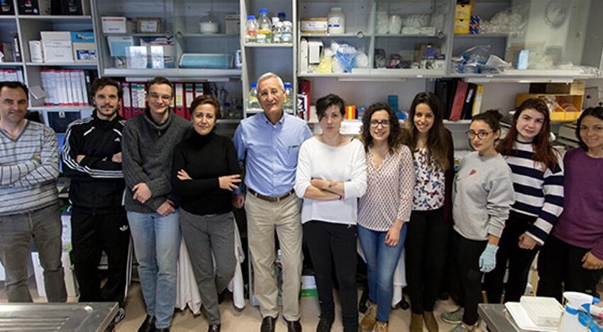  Científicos del Centro de Investigación del Cáncer descubren una nueva función de las proteínas SOS en la dinámica y metabolismo mitocondrial