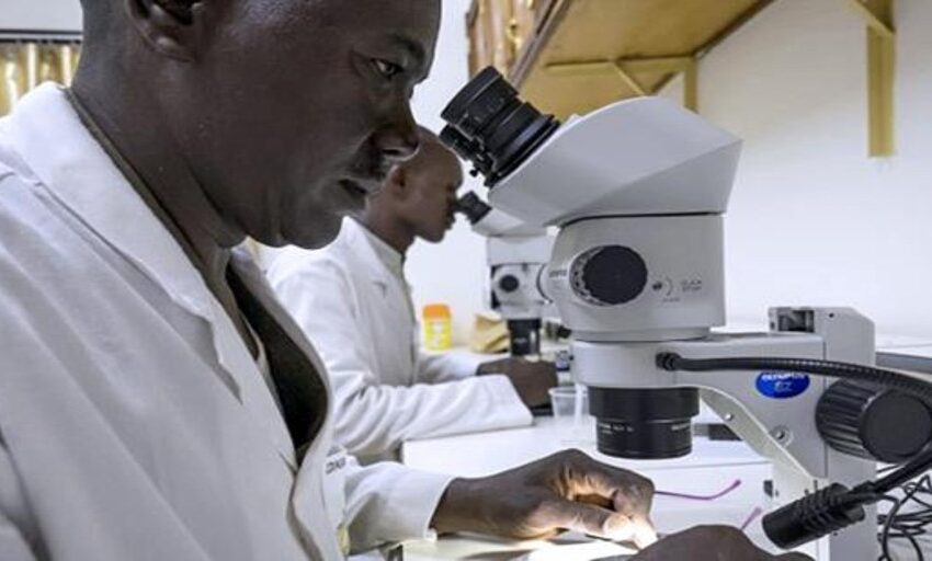  Malaria, próximo objetivo de la vacunas de ARNm