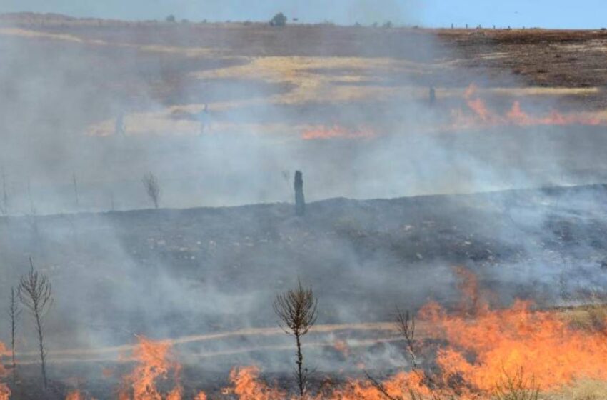  Casi cinco hectáreas de pasto, quemadas en un incendio en Retortillo