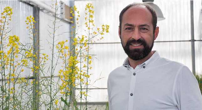  Óscar Lorenzo y su grupo en la USAL analizan la proteína clave en el crecimiento de las plantas en condiciones como las sequías o la alta salinidad del suelo