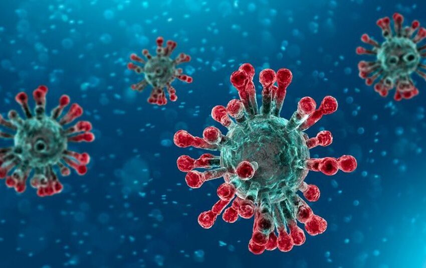  Un estudio relaciona los síntomas más leves de Covid-19 con infecciones previas con otros coronavirus