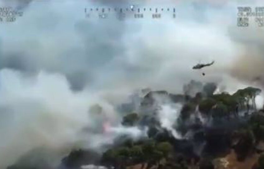  Cinco helicópteros trabajan para extinguir un incendio forestal en el Pantano de San Juan (Madrid)