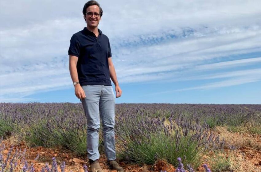  Los espectaculares campos de lavandín llegan a Salamanca: esta es la única explotación de la provincia