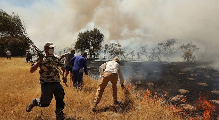  El incendio de San Felices de los Gallegos ha calcinado 1.735 hectáreas de arbolado matorral y pastos