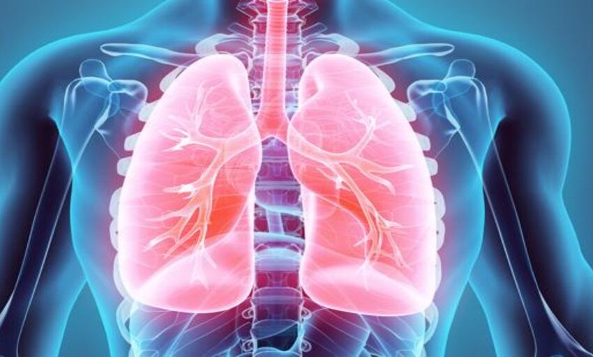  Científicos españoles mejoran el diagnóstico y tratamiento del cáncer de pulmón