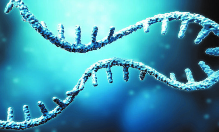 La revolución científica de 2020: la tecnología de ARN