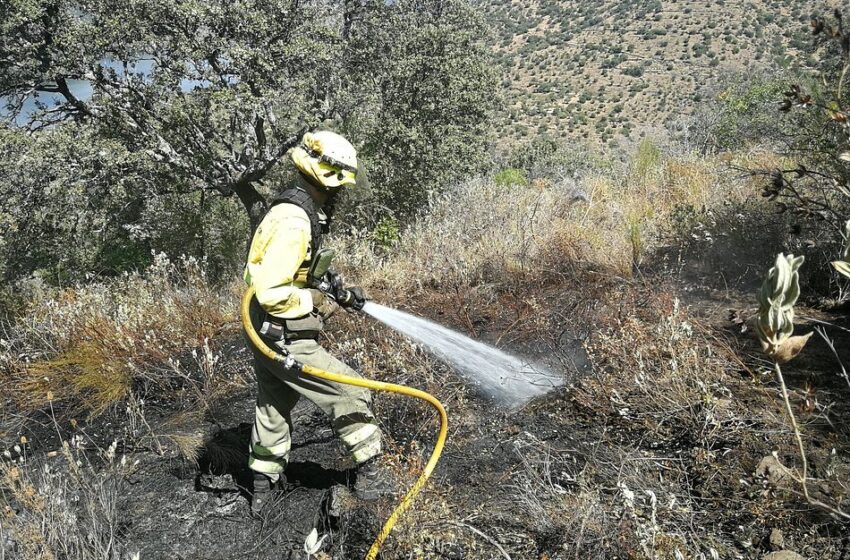  Ignacio Villaverde, bombero forestal: “Cuando el fuego es virulento somos testigos de mucha destrucción y muerte”