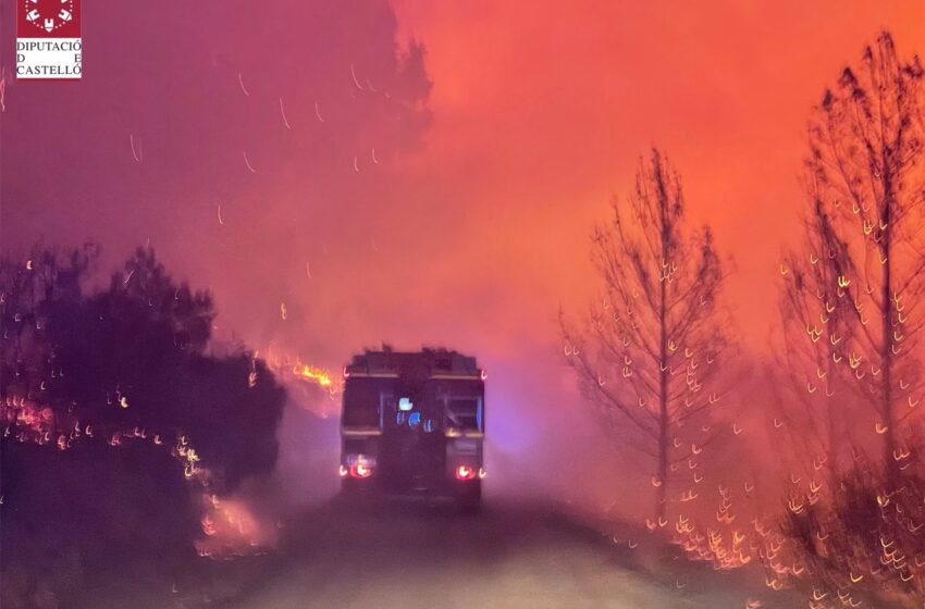  El incendio forestal de Azuébar, el «más importante del verano» en la Comunitat, afecta ya a unas 500 hectáreas