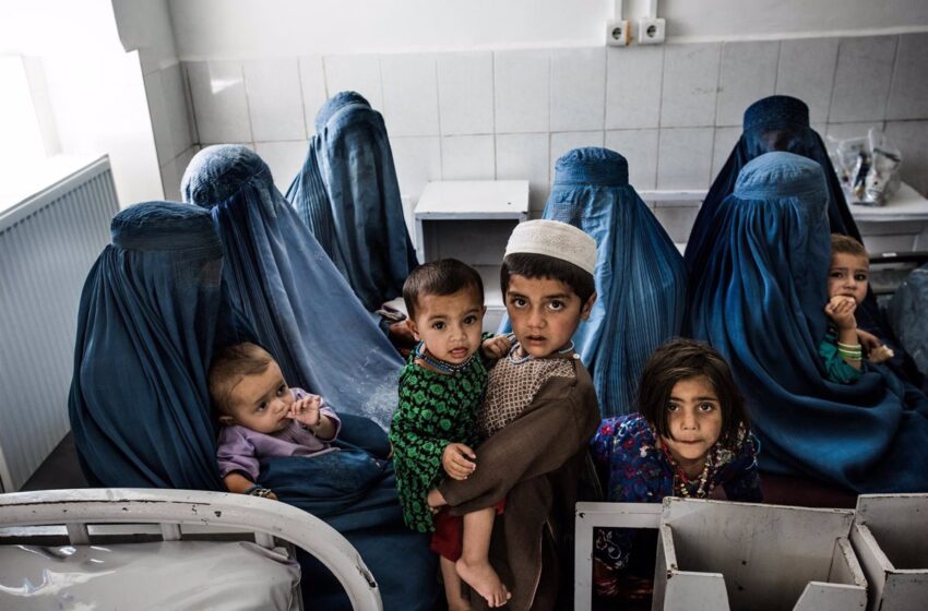  Las CCAA se ofrecen al Gobierno para acoger a refugiados afganos, especialmente mujeres y niñas
