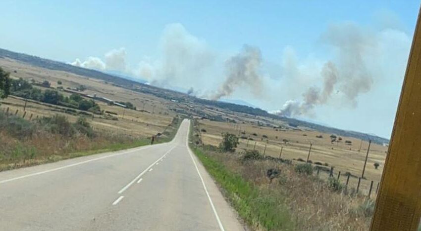  Movilizados medios aéreos y terrestres para sofocar un incendio declarado en San Felices de los Gallegos