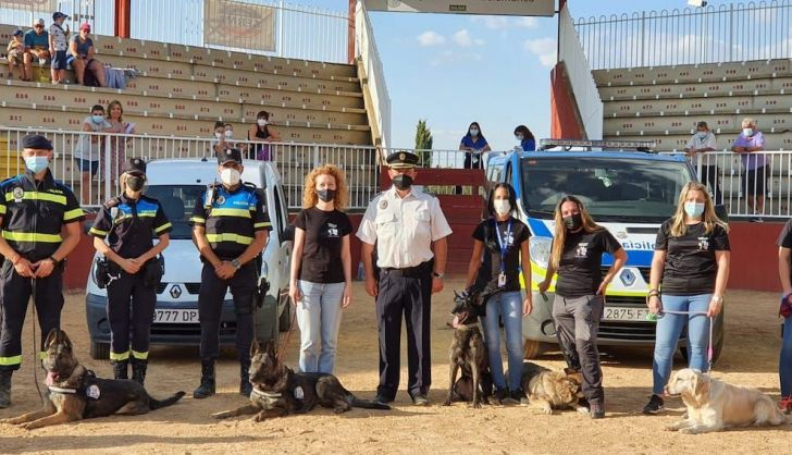  Salamaq acoge una exhibición de ‘VioCan’, el proyecto pionero de terapia con perros para apoyar a mujeres víctimas de…