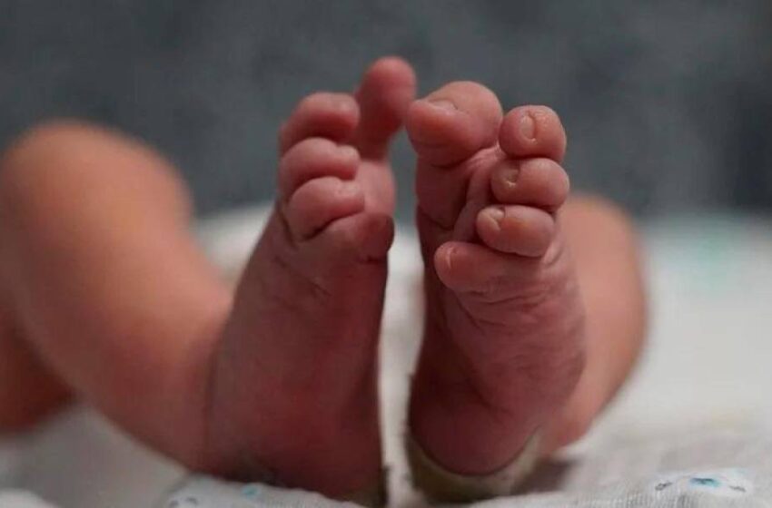 El extraño caso de dos bebés intercambiadas por error en un hospital de Logroño en 2002