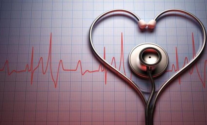  Las enfermedades cardiovasculares, primera causa de muerte en España: Cinco claves para un corazón sano