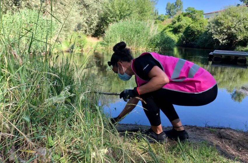  Voluntarios limpian hoy el entorno del Puente Romano de Salamanca