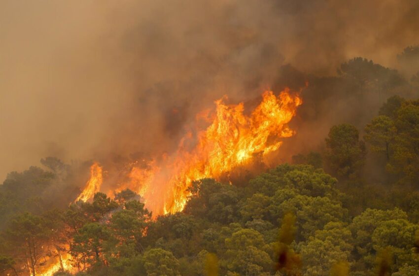  Fallece un bombero forestal en las labores de extinción del incendio de Sierra Bermeja