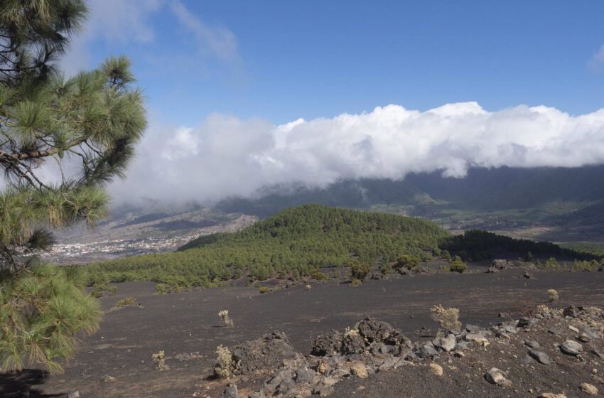  Continúa la actividad sísmica en La Palma y no se descartan terremotos de mayor intensidad