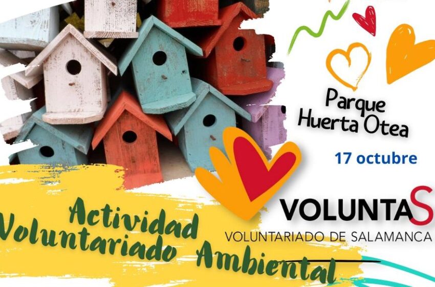  Buscan voluntarios para construir cajas nido y fomentar la llegada de aves pequeñas beneficiosas para Salamanca