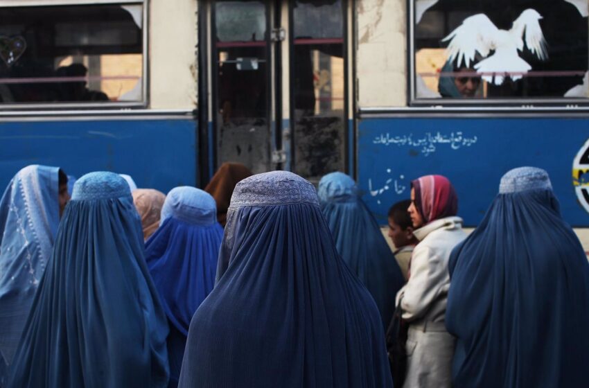  El «apartheid de género» de los talibán inhibe derechos básicos de las mujeres, alertan políticas afganas