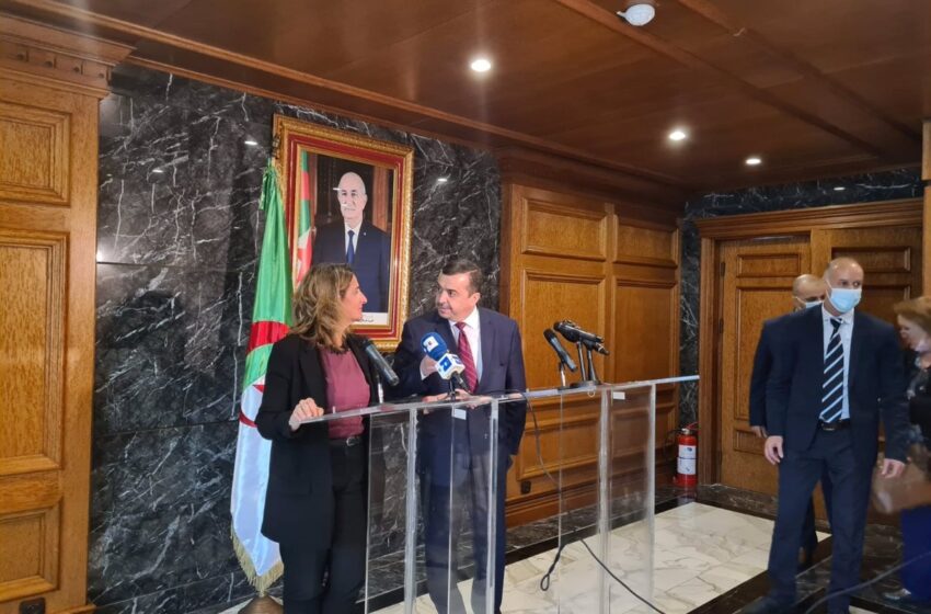  Argelia se compromete con España a complementar el suministro de gas por gasoducto con gas natural licuado