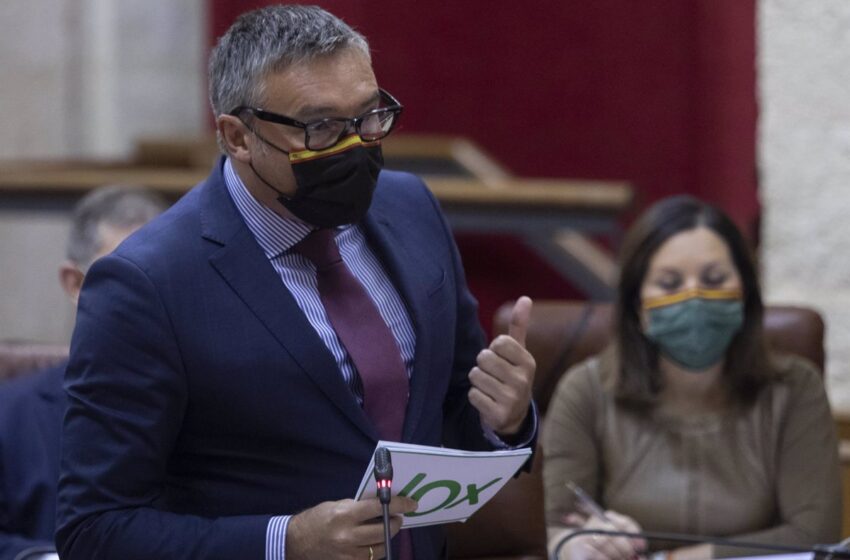  Vox incide en el adelanto electoral porque Cs es «prácticamente inexistente» y Andalucía requiere «un gobierno fuerte»
