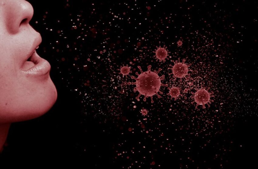  Una investigación llevada a cabo por la Universidad de Exeter ha determinado que 1 de cada 10 personas podría tener niveles de coronavirus
