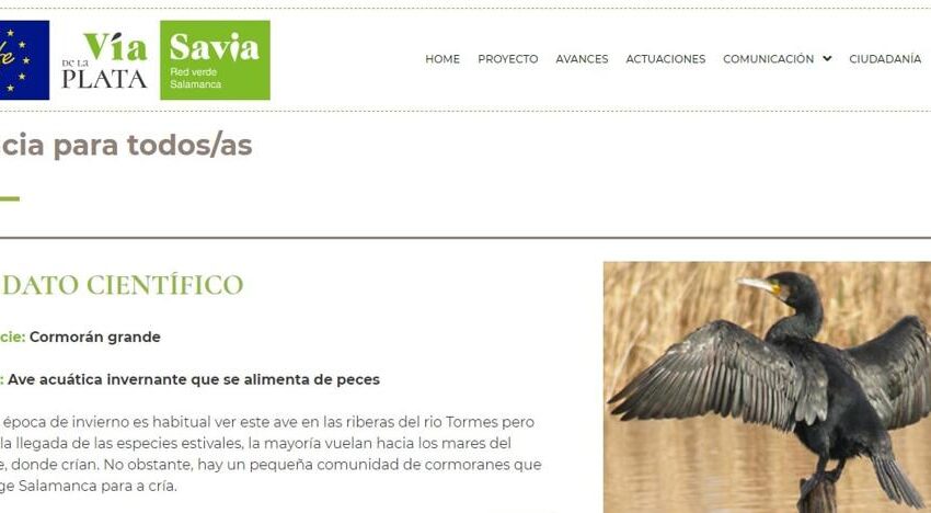  La web del proyecto LIFE Vía de la Plata de Salamanca fomenta el espíritu científico y la participación