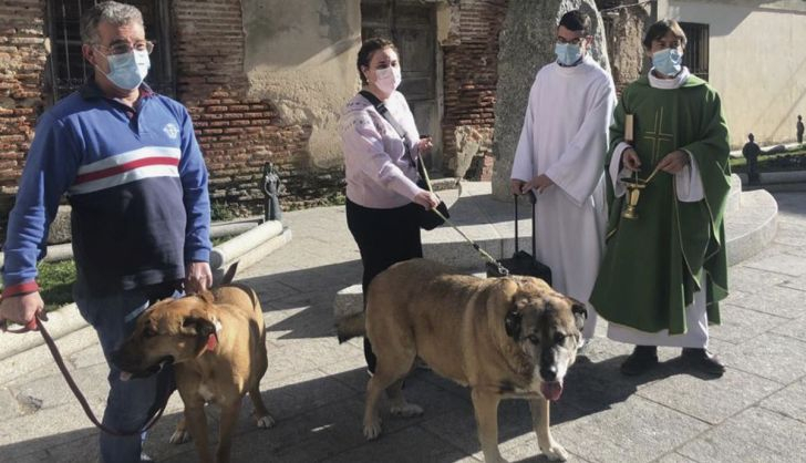  Decenas de personas acuden a la bendición de animales en la parroquia de Peñaranda
