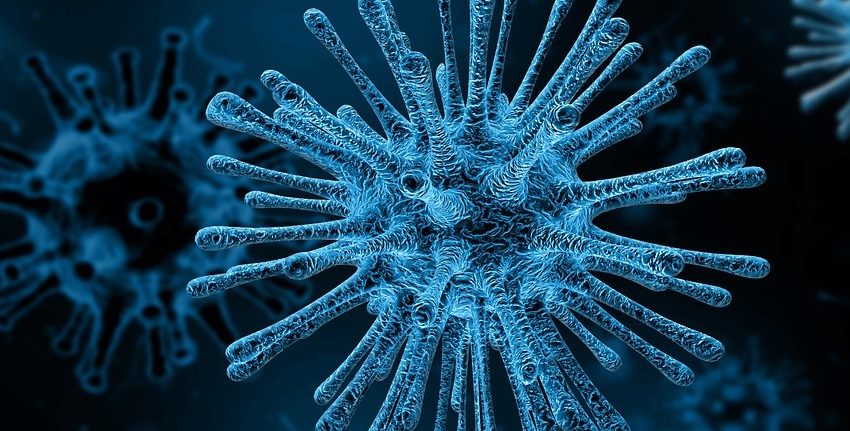  Un estudio realizado en Harvard señala que virus de Epstein-Barr, estaría detrás del desarrollo de la esclerosis múltiple