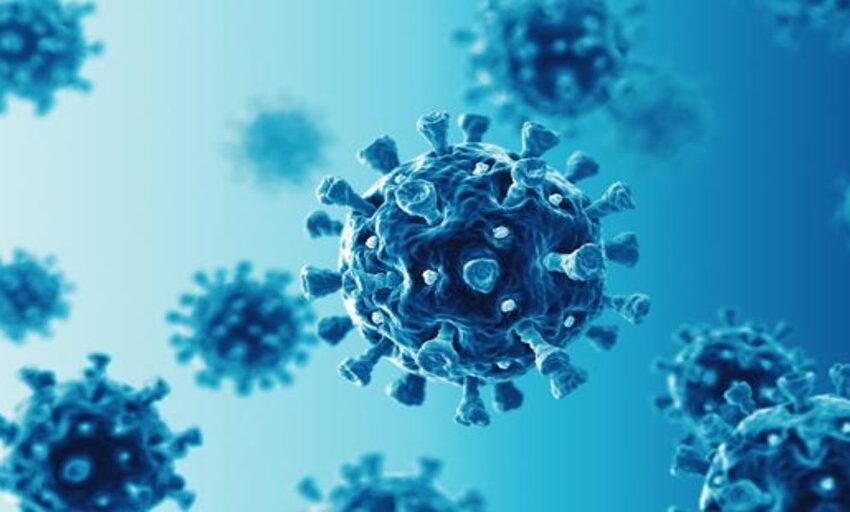  Demuestran por primera vez cómo las células del resfriado protegen ante el coronavirus