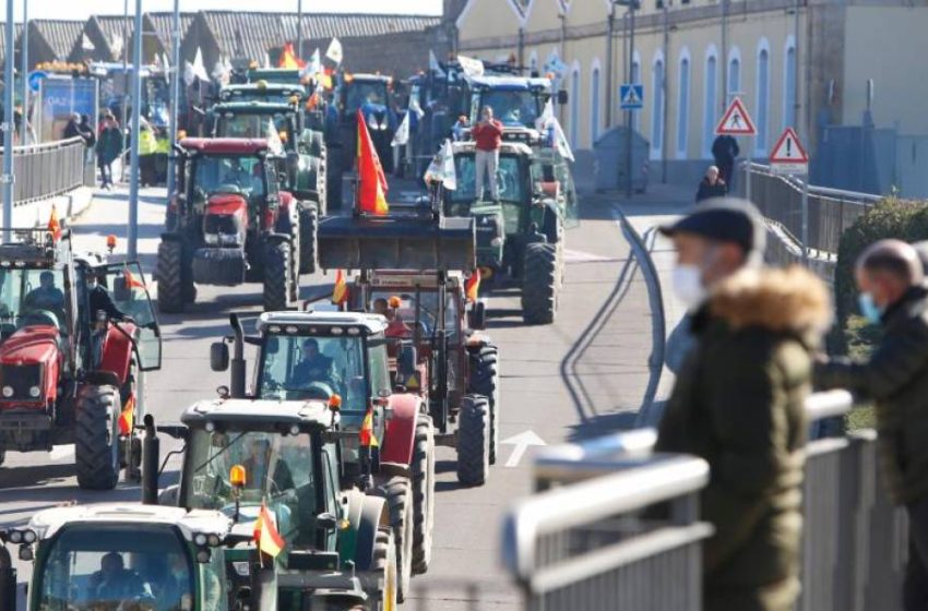  ¿Cuántos tractores pudieron salir por las calles de Salamanca?