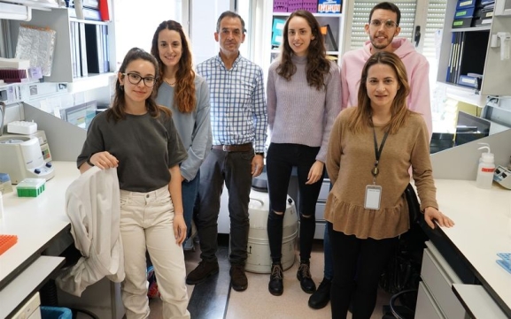  Prevenir la leucemia infantil está más cerca gracias a estos científicos de Salamanca