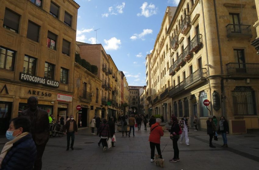  El PSOE se desinfla en Salamanca y Vox se nutre del PP y Cs